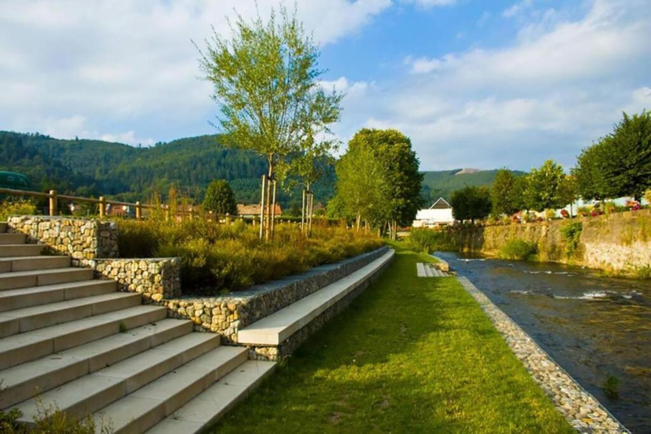 Maison Rurale En Bordure De Foret Schirmeck Dış mekan fotoğraf