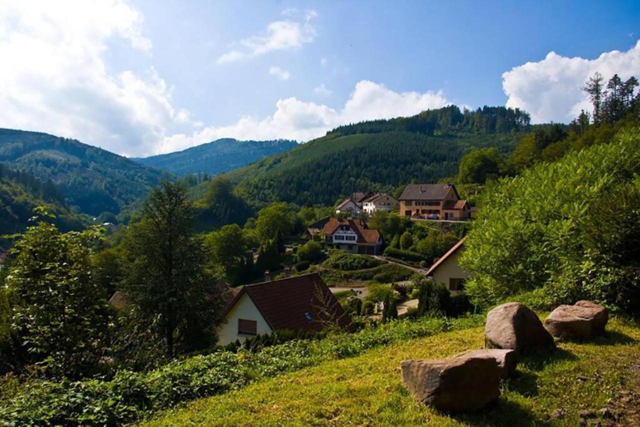 Maison Rurale En Bordure De Foret Schirmeck Dış mekan fotoğraf