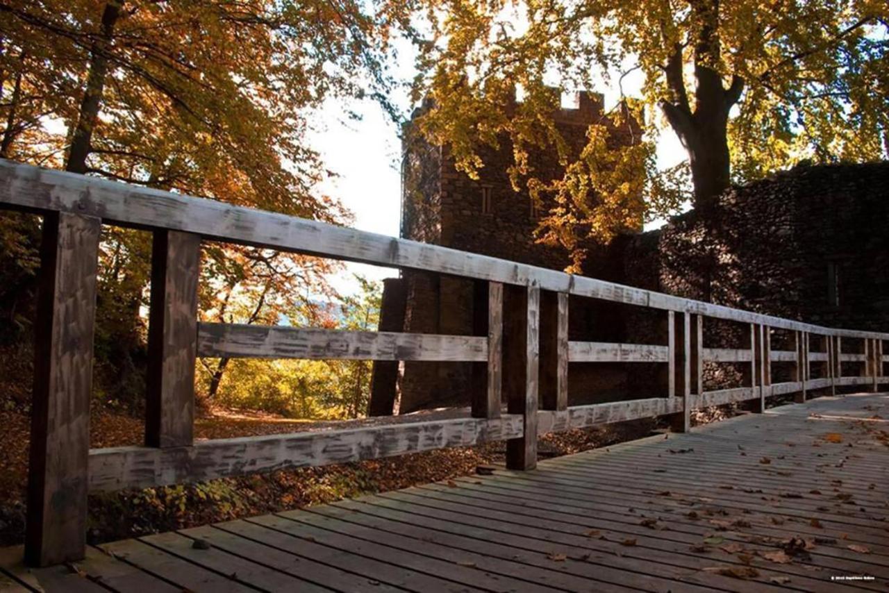 Maison Rurale En Bordure De Foret Schirmeck Dış mekan fotoğraf